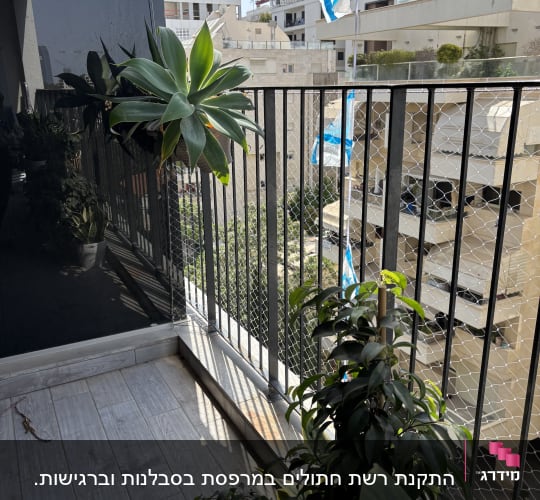 מרפסת עם צמחים ודגלי ישראל ברקע